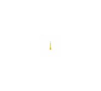 Nitecore 10 tampons nettoyage de capteur CMOS plein cadre 24mm longue