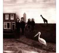 Nits,the - Alankomaat [Import]