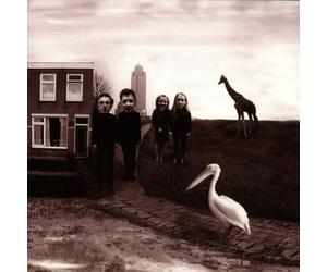 Nits,the - Alankomaat [Import]