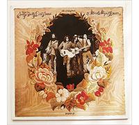 Nitty Gritty Dirt Band - Stars & Stripes Forever - 1974 United Artists 2LP vinyl set