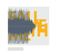 Nitzer Ebb - Fallin in Love With Me