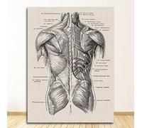 NIUBB Peinture Murale d'art l'image Diagramme d'anatomie humaine rétro imprimée sur Toile Photos pour Art Mural Photo Salon Décor À La Maison Affiches 40x50cm sans cadre