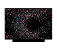NIUGEGEGUO L15 G2, Compatible for ThinkPad, Panneau D'écran LCD | Compatible for Lenovo, 15.6 ", matrice LED mince, FHD 1920*1080, panneau d'affichage for ordinateur portable(FHD IPS 45NTSC)