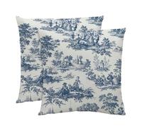 NIULAA 2 Pack Luxury Velvet Housse de Coussin 40 x 40 Blue Coussin Decoratif Coussin Canape Doux Vintage Square Aesthetic Taie d'oreiller Double Sided French Chic Champêtre Design