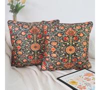 NIULAA 2 Pack Luxury Velvet Housse de Coussin 40 x 40 Orange Coussin Decoratif Coussin Canape Doux Vintage Square Aesthetic Taie d'oreiller Double Sided French Chic Champêtre Design