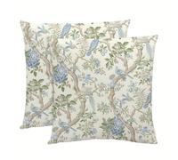 NIULAA 2 Pack Luxury Velvet Housse de Coussin 45 x 45 Bleu-Vert Coussin Decoratif Coussin Canape Doux Vintage Square Aesthetic Taie d'oreiller Double Sided French Chic Champêtre Design