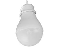 NiuLumea Panneau solaire 30 W et kit d'éclairage, lanterne de camping pliable avec boîte de stockage d'énergie, double alimentation USB 12 V 5 V