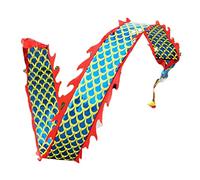 NIUSABOU Dragon de Danse d'extérieur, Ensemble de Danse du Dragon en Soie avec Corde et Sac Rangement Multicolore 6-12 m(A,10m/32.8ft)