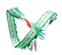 NIUSABOU Dragon de Danse d'extérieur, Ruban de Danse du Dragon Adulte 3D Multicolore Soie 6-10m(8M)