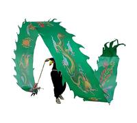 NIUSABOU Dragon de Danse d'extérieur, Ruban de Danse du Dragon en Tissu Soie, avec Sac Voyage et Baguettes Fibre Verre, Multicolore, 6-12m(C,10m/33ft)