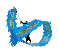NIUSABOU Dragon de Danse d'extérieur, Ruban de Danse du Dragon en Tissu Soie, avec Sac Voyage et Baguettes Fibre Verre, Multicolore, 6-12m(A,6m/20f)