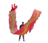 NIUSABOU Dragon de Danse d'extérieur, Ruban de Soie en Tissu Danse du Dragon avec tête, 6-10 m, Multicolore(A,6m/20f)