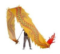 NIUSABOU Dragon de Danse d'extérieur, Ruban de Soie en Tissu Danse du Dragon avec tête, 6-10 m, Multicolore(D,6m/20f)