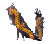 NIUSABOU Dragon de Danse d'extérieur, Ruban de Soie en Tissu Danse du Dragon avec tête, 6-10 m, Multicolore(B,6m/20f)