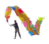 NIUSABOU Dragon de Danse d'extérieur, Ruban de Soie en Tissu Danse du Dragon avec tête, 6-10 m, Multicolore(E,10m/33ft)