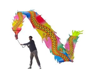 NIUSABOU Dragon de Danse d'extérieur, Ruban de Soie en Tissu Danse du Dragon avec tête, 6-10 m, Multicolore(E,10m/33ft)