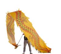 NIUSABOU Dragon de Danse d'extérieur, Ruban De Soie Tête 3D Danse du Dragon Et Lion Multicolore 6-10m(D,8m/26ft)