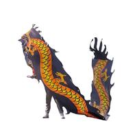 NIUSABOU Dragon de Danse d'extérieur, Ruban De Soie Tête 3D Danse du Dragon Et Lion Multicolore 6-10m(E,6m/20f)