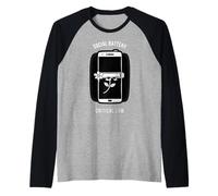 Niveau Critique Critique de la Batterie Sociale Manche Raglan