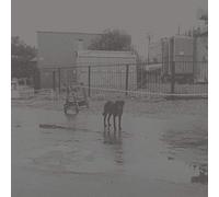 Nivhek - After Its Own Death, Walking in a Spiral Toward