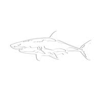 Nixiara Sticker moto requin - Stickers muraux requin | Autocollant de décalque de poisson de imperméable à la pluie pour une utilisation sur le mur de moto de camion d'ordinateur portable blanc