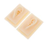 NIYANGLE 1paire Modèle Oreille Simulation Accessoire Pédagogique Pour Affichage Auditif Et Formation Médicale Et Réutilisable Outil Enseignement Structure De Oreille