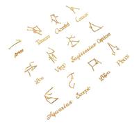 NIYANGLE 24pièces Pendentifs Douze Constellations Époxy Charges Cristallines Brillantes Décorations Ornements DIY