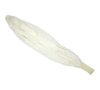 NIYANGLE Ballon Géant Rond Blanc 120 Pouces en Latex Épais pour Observations Météorologiques, Fête et Décoration Intérieure Extérieure, Kit Ballon Professionnel 300g