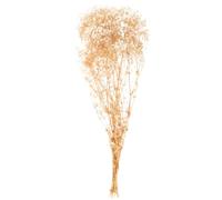 NIYANGLE Bouquet de Fleurs Séchées Gypsophile Beige Élégant et Naturel, Ajoute Une Atmosphère Authentique pour Décoration de Mariage ou Bureau, Fleurs Séchées Réalistes