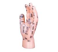NIYANGLE Modèle de Réflexologie Main Précis avec Points Acupuncture Nommés pour Apprentissage et Enseignement Médecine Chinoise Adapté Écoles et Cabinets de Massage