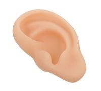 NIYANGLE Modèle Oreille Silicone Modèle Oreille Réaliste pour Enseignement et Pratique Manuelle avec Design de Canal Gauche Texture Douce et Détail
