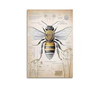 NIZIEE Affiches d'animaux vintage - Tableau éducatif sur toile - Anatomie des abeilles - 30 x 45 cm