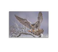 NIZIEE Poster sur toile représentant un beau faucon pèlerin aux ailes ouvertes (30 x 45 cm)