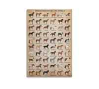 NIZIEE Poster vintage animal races de chevaux du monde décoratif sur toile 30 x 45 cm