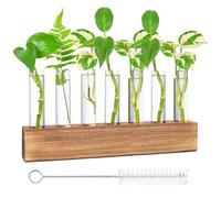 Nizirioo Vase en Verre De Tube À Essai, Station De Propagation, Vase en Verre Hydroponique avec Support en Bois Et Brosse, Vase Tube À Essai pour Plantes Hydroponiques, Décoration(8 Tube À Essai)