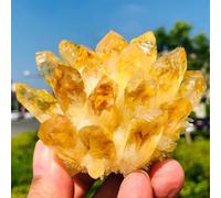 NJFSWNXOR Magnifiques ornements en grappe de cristal de quartz fantôme jaune (taille : 300-350 g)