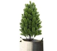 Njidher Arbres Topiaires Artificiels pour Exterieur,Topiaire Réaliste Résistant Aux UV | Artificielles en Aiguilles de Pin pour Intérieur et Extérieur | pour Décoration Maison Jardin Véranda Terrasse