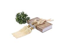 NJIEzhao 2Pcs Decorative Curtain Rope Tie Backs Beaded Tassel Fringe Tiebacks for Clip Home Decor Holder Buckle Embrasses en Corde pour Rideaux(Beige)