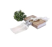 NJIEzhao 2Pcs Decorative Curtain Rope Tie Backs Beaded Tassel Fringe Tiebacks for Clip Home Decor Holder Buckle Embrasses en Corde pour Rideaux(White)