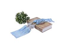 NJIEzhao 2Pcs Decorative Curtain Rope Tie Backs Beaded Tassel Fringe Tiebacks for Clip Home Decor Holder Buckle Embrasses en Corde pour Rideaux(Lake Blue)