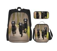 njkhbolk Trotting Sac à dos 3 en 1 avec sac à déjeuner et trousse à crayons Motif empreintes de pattes de Retrievers, noir, One Size