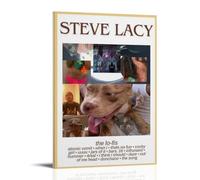 NJZUSA Steve Lacy THE LO-FIS-Impression sur toile pour décoration murale d'intérieur, salon, chambre à coucher, style cadre, 40 x 60 cm