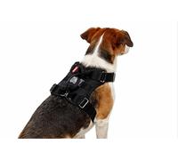 NK Harnais pour Chien avec lumière LED Rechargeable, Réglable, Respirant et imperméable, 2 Modes d'éclairage, avec Poignée, Couleur Noire (M)
