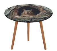 NKJJSTES Nappe ronde ajustée élastique extensible motif écureuil dans le trou de l'arbre nappe imperméable pour le camping intérieur et extérieur