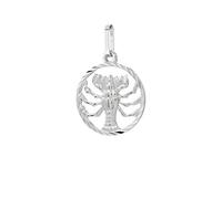 NKlaus Pendentif signe du zodiaque en argent sterling 925 de 15 mm