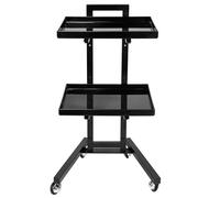 Nkmifeg Chariot De Salon À roulettes,Compact en Acier Inoxydable avec Plateau de Rangement | Chariot De Coiffure pour Coiffeurs | pour Centre de Spa Station Ongles Salle de Formation et Fournitures