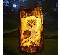 NLNEY Lampe Solaire LED Étanche pour Jardin - Décoration Chouette - Lumière d'Extérieur - Cadeau de Noël