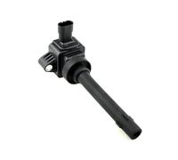 NLNKDTDPAK Bobine d'allumage adaptée for Haval H6 1.5 2013- H2 2014- H2S .5T 2016- for Great Wall C50 .5Turbo 2011- F01R00A052 3705100EG01T 3705100-F0000