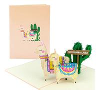 No Drama Lama G25 Carte d'anniversaire amusante, avec motifs de cactus 3D, lama et alpaga, Carte pop-up comme carte de vœux, carte de félicitations ou bon d'anniversaire