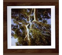 No Go Know - Time Has Nothing to Do with It